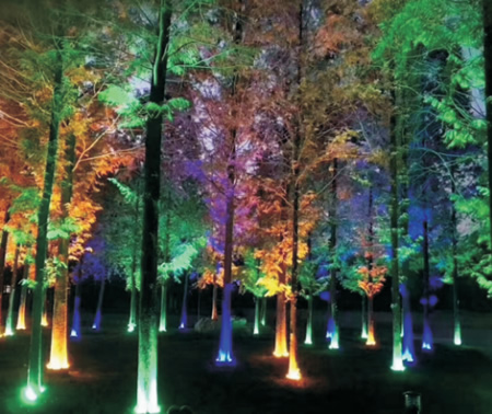 Palm Tree Uplighting Low Voltage Up Lighting Palm Tree Uplighting Low Voltage Up