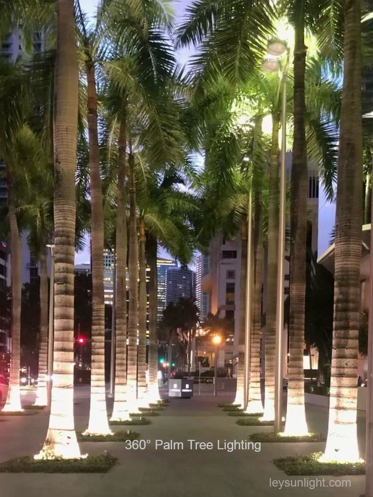 Palm tree ring lights illuminating a walkway in a U.S. landscape project