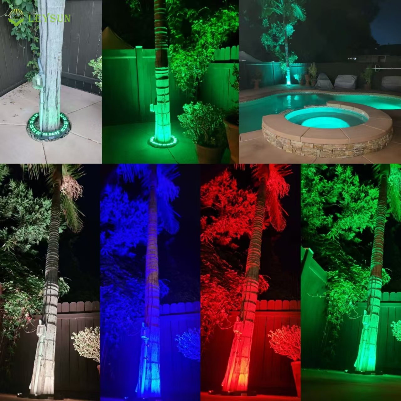 RGB LED palm tree ring lights illuminating outdoor trees in multiple colors