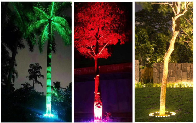 Palm Tree Ring Lighting in Resort Walkway Modular palm tree ring light used in resort landscape lighting project