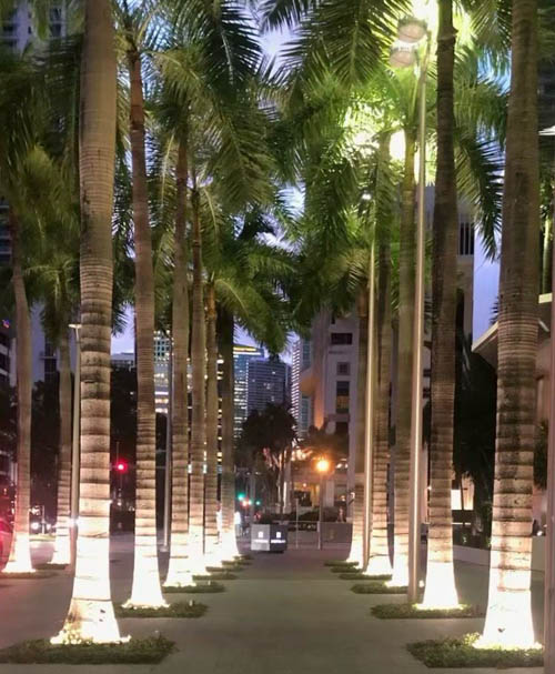 Palm Tree Ring Lighting for Hotel Resort Landscape Projects palm tree ring lighting hotel resort landscape project modular tree lighting