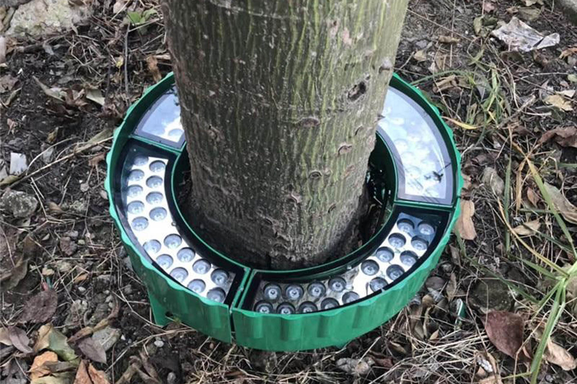 modular LED palm tree ring light installed on palm tree trunk for landscape lighting