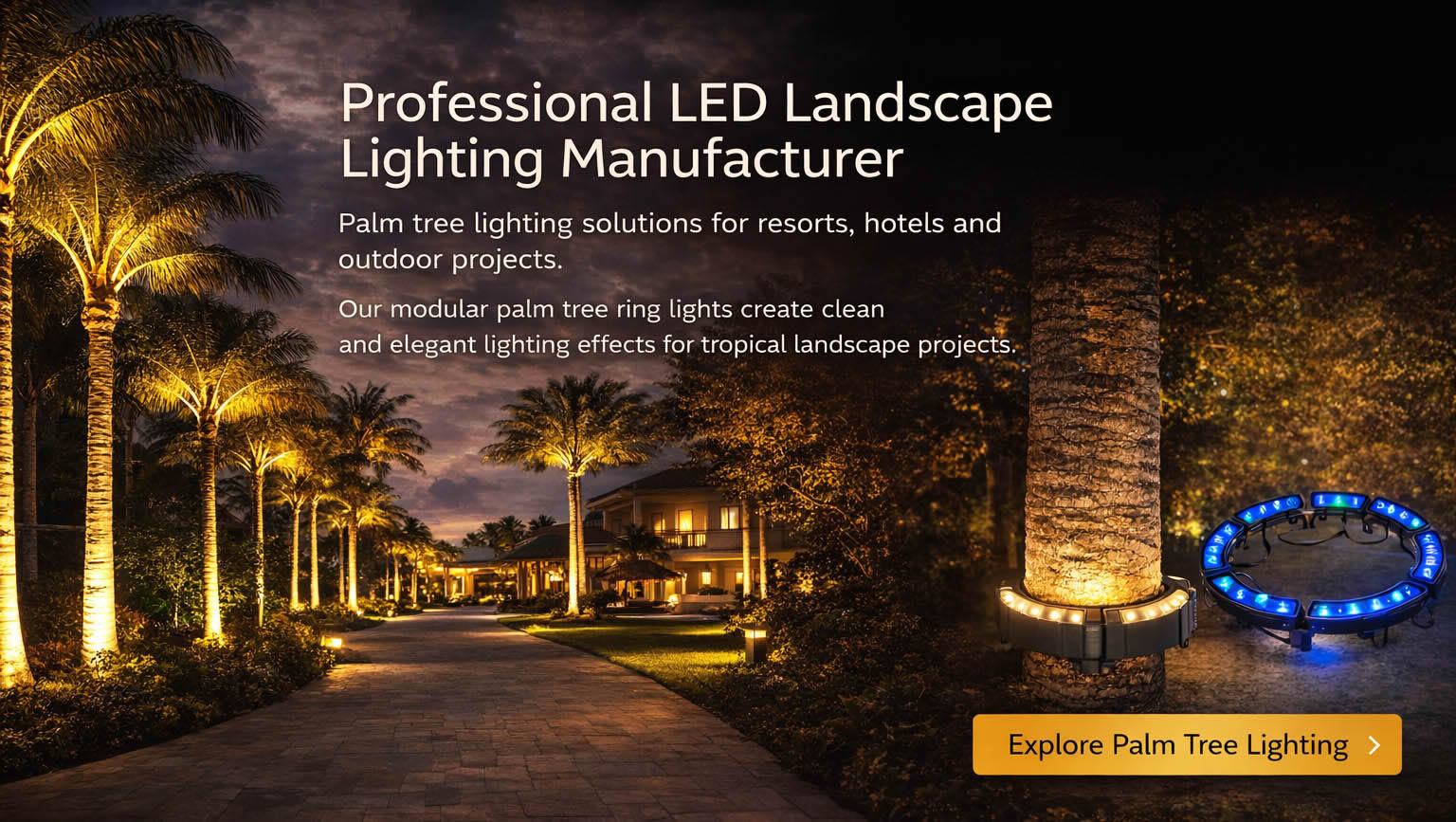 Professional LED Landscape Lighting Manufacturer
Palm tree lighting solutions for resorts, hotels and outdoor projects.

Our modular palm tree ring lights create clean and elegant lighting effects for tropical landscape projects.

Explore Palm Tree Lighting