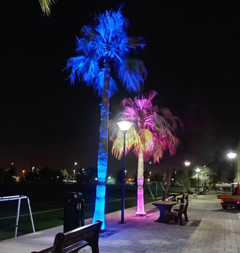 RGB LED palm tree ring light illuminating palm trees in outdoor landscape lighting project