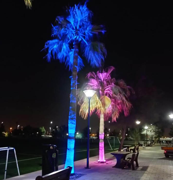 LED palm tree ring lighting effect in outdoor resort project