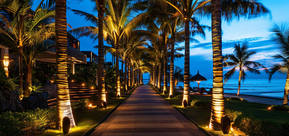 Palm Tree Ring Lighting in Resort Walkway Palm trees illuminated with LED ring lighting along a resort walkway at night